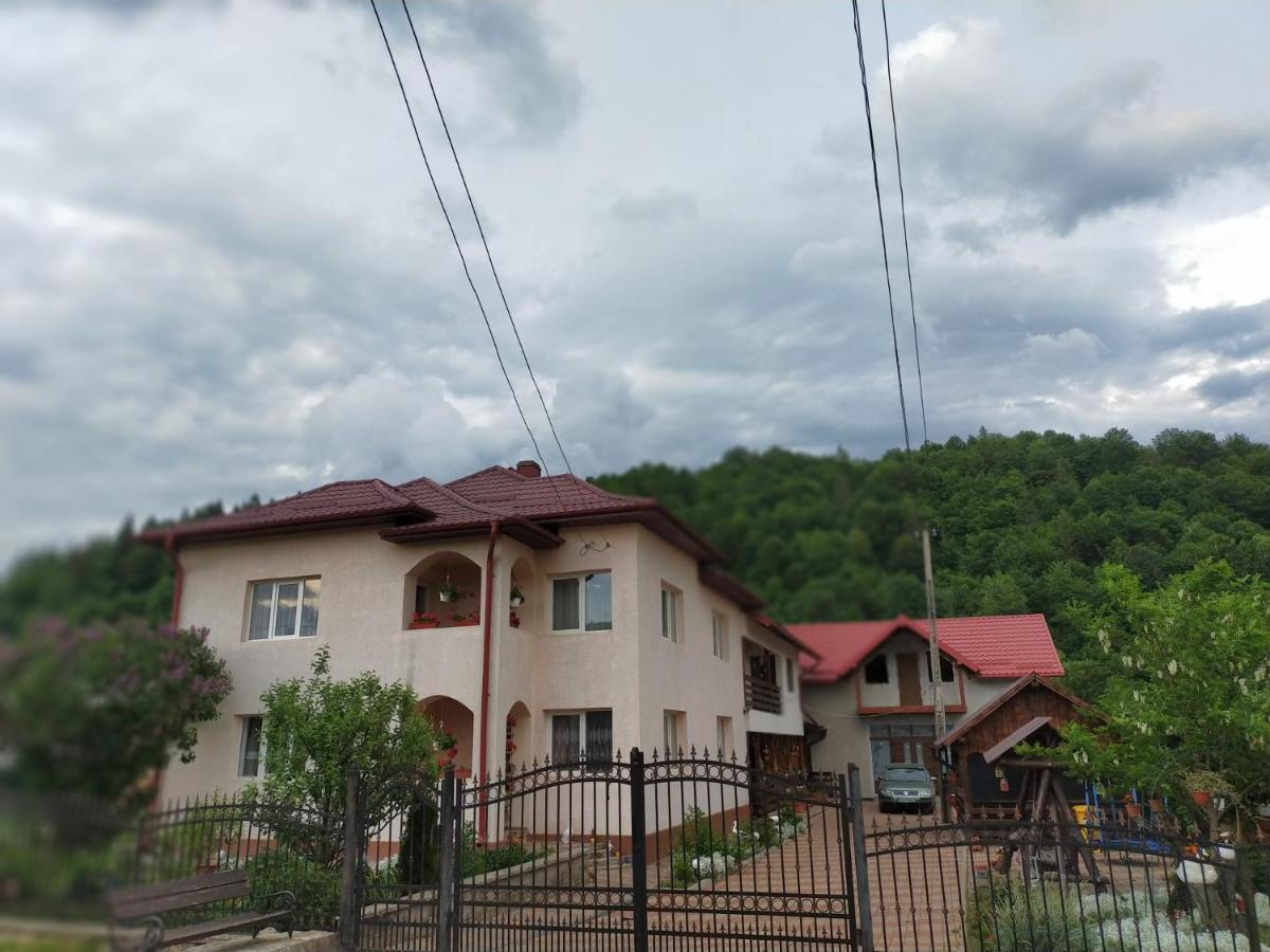 Hotel Casa Irina Mînăstirea Humorului Exterior foto